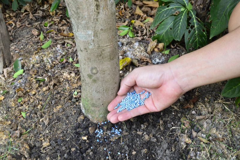 Concrete Wall Repair Service